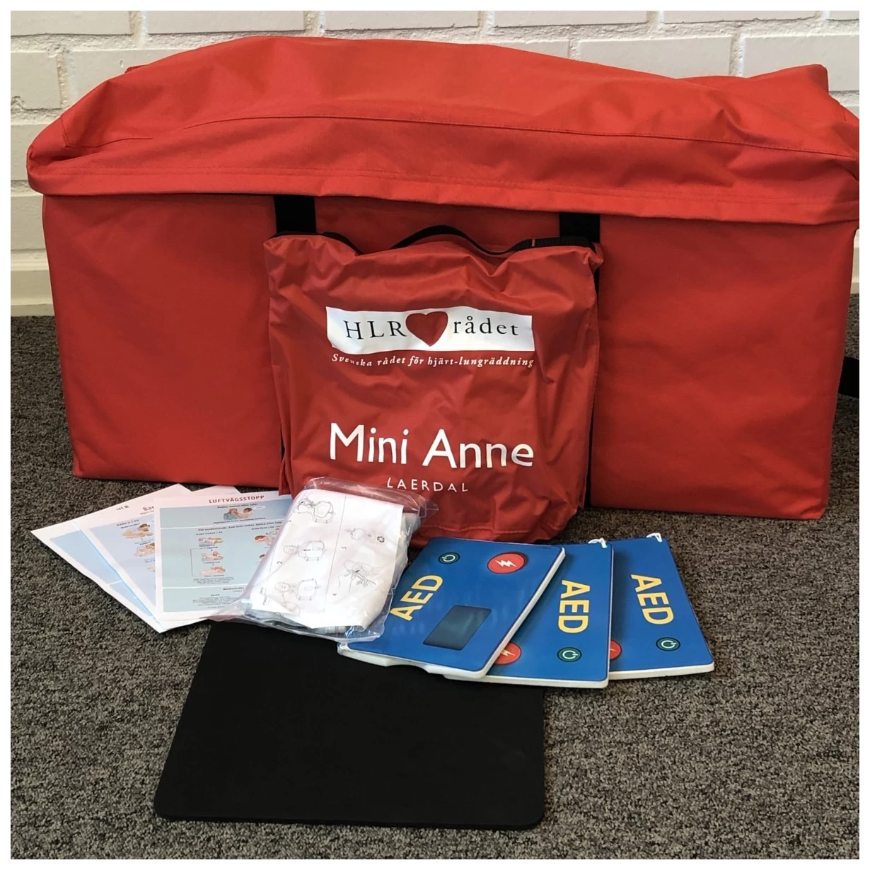 Mini-Anne plus, 10-pack