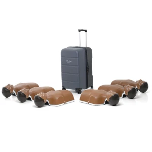 litte_anne_gen2_mork_6_pack