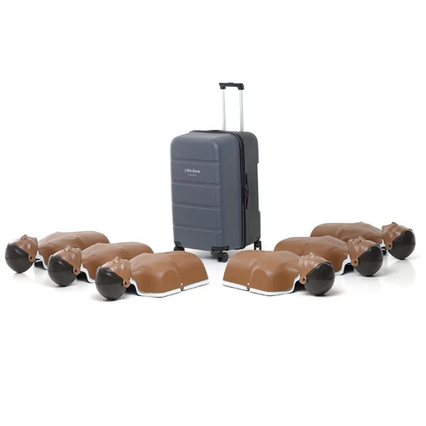litte_anne_gen2_mork_6_pack