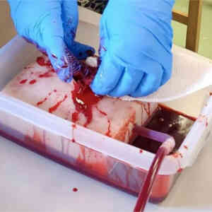 Träning i kirurgisk blodkontroll, simuleringsenhet.